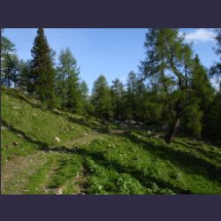 2007-05_04Gotzenalm (004).JPG